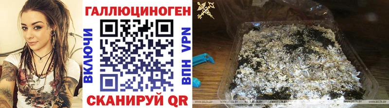 Псилоцибиновые грибы Cubensis  Кулебаки 
